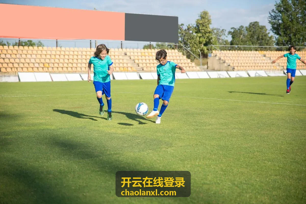 开云在线登录企业接入后台的组织架构与角色权限配置界面